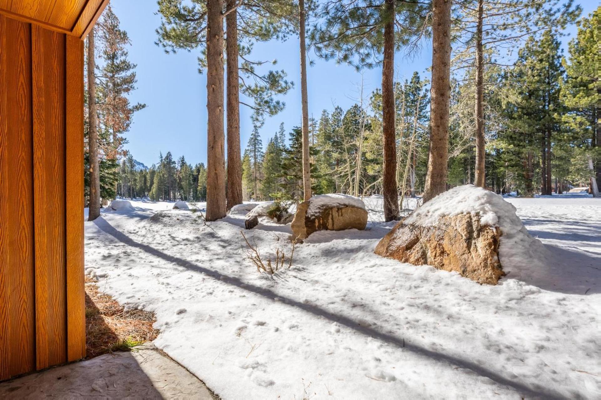 Obsidian 210 Mammoth Lakes